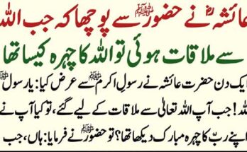 AI technology solutions for business