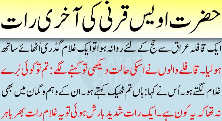 Business Insurance Quotes: The Complete Guide for Entrepreneurs