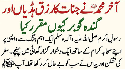 Home Insurance in 2025: Trends